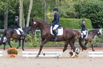 Bild 316 - Fuchshof Turnier